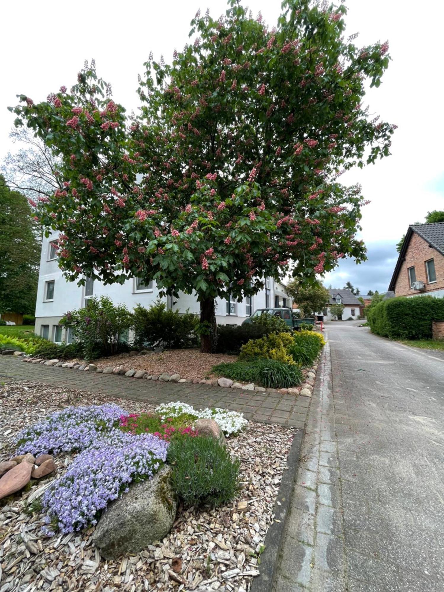 Hotel Luther Birke Wittenberg 외부 사진